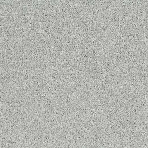 th_palatino_2502